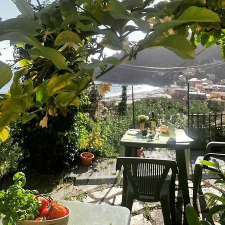 Ferienwohnung Cozy Beach House With Nice Garden, Basic Feel Bonassola Exterior foto