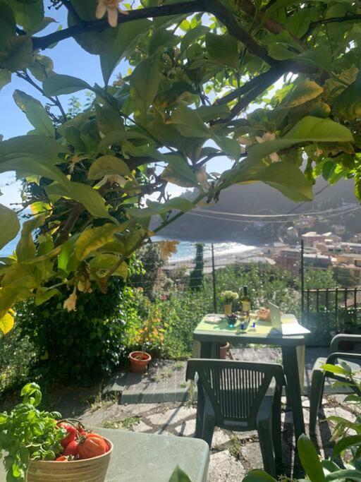 Ferienwohnung Cozy Beach House With Nice Garden, Basic Feel Bonassola Exterior foto