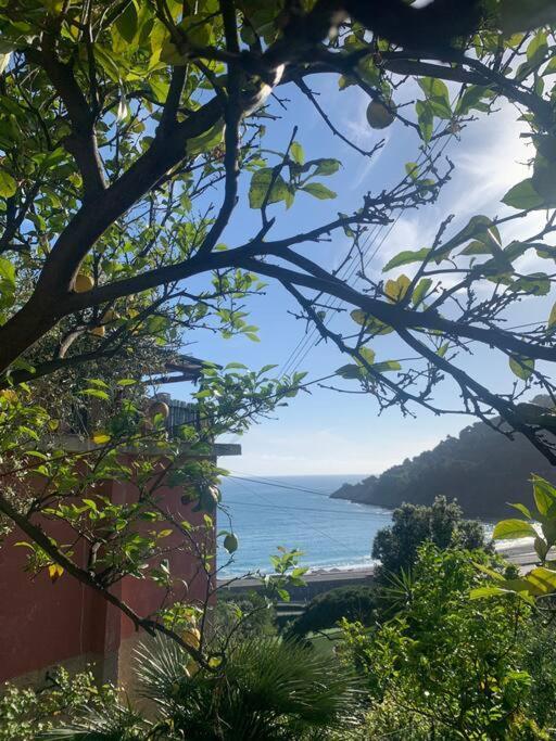 Ferienwohnung Cozy Beach House With Nice Garden, Basic Feel Bonassola Exterior foto