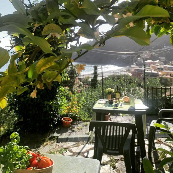 Ferienwohnung Cozy Beach House With Nice Garden, Basic Feel Bonassola Exterior foto