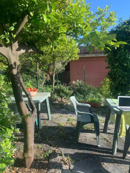 Ferienwohnung Cozy Beach House With Nice Garden, Basic Feel Bonassola Exterior foto