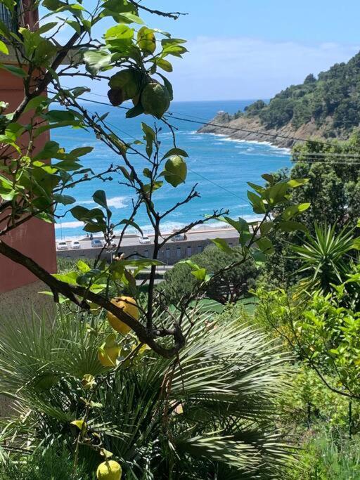 Ferienwohnung Cozy Beach House With Nice Garden, Basic Feel Bonassola Exterior foto